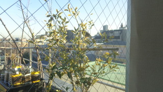 DSC00020.JPG