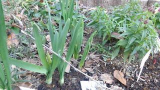 DSC00110.JPG
