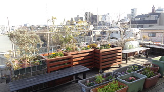 DSC00141.JPG
