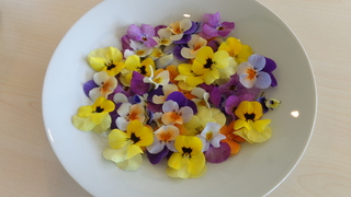 DSC00189.JPG