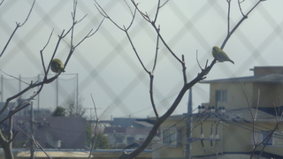 DSC00374.JPG