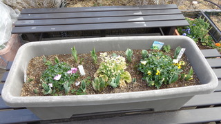 DSC00378.JPG