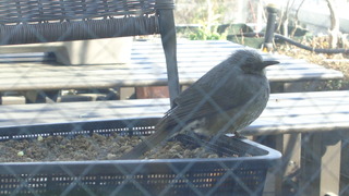 DSC00411.JPG