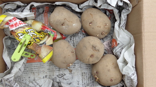 DSC00440.JPG