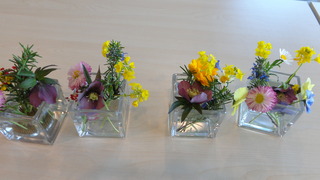 DSC00503.JPG