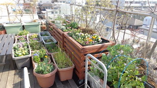 DSC00554.JPG