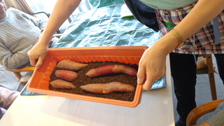 DSC00572.JPG