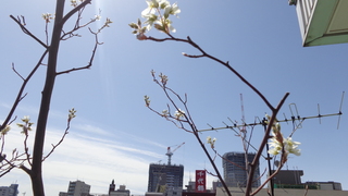 DSC00679.JPG