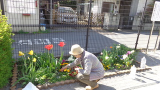 DSC00732.JPG