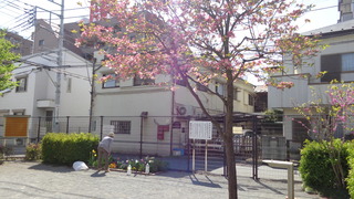 DSC00734.JPG