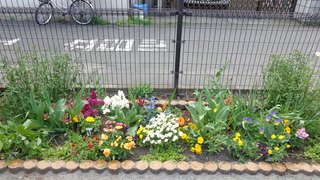 DSC00828.JPG
