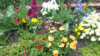DSC00830.JPG