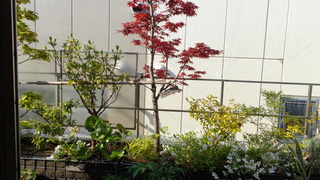 DSC00834.JPG