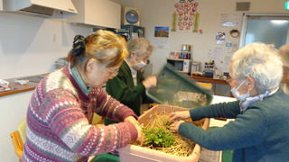 DSC03027.JPG