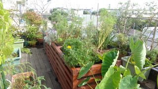 DSC09134.JPG