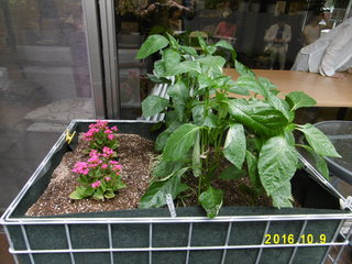 P1000245.JPG