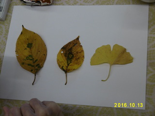 P1000342.JPG