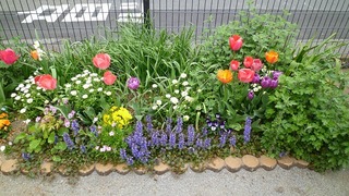 P1080067.jpg