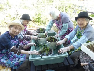 P1160166.jpg