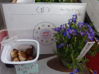 P1170838.jpg