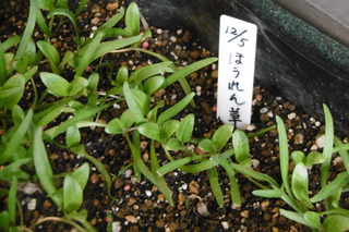 P1010253.JPG
